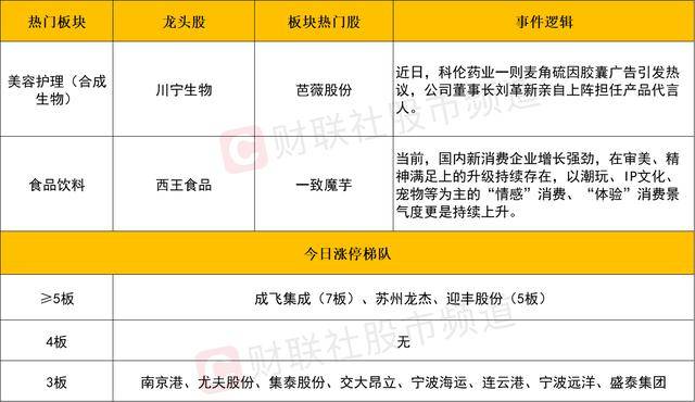 我县举办“技展枞川•寻觅宗味”名厨争霸赛