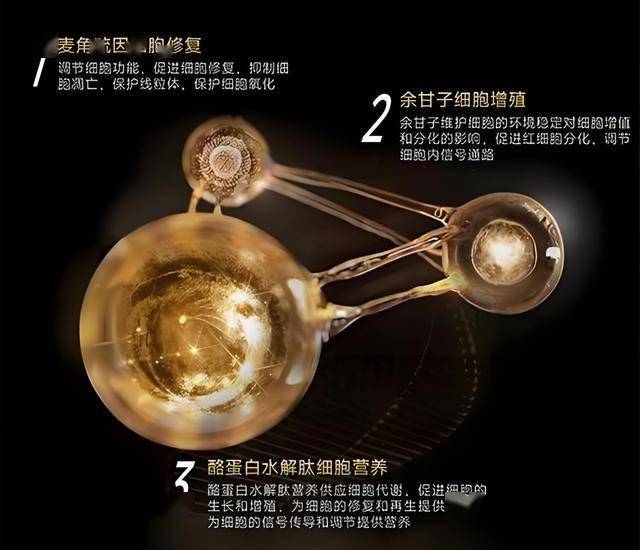 塞北风情，举世无双：2019华昊酒庄柳木高混酿干红